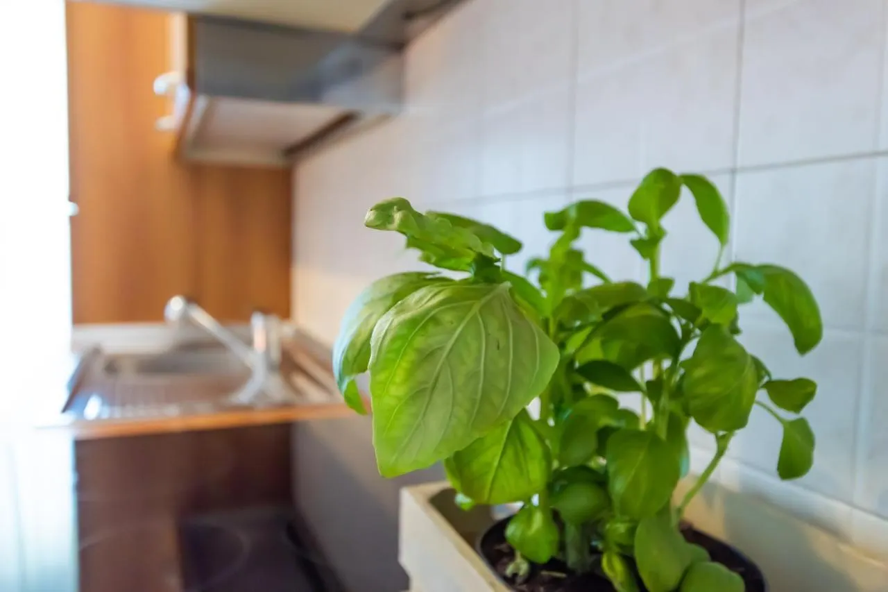 Marialuisa'S Home - Le Rive Del Lago Desenzano del Garda